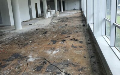 Coating Removals